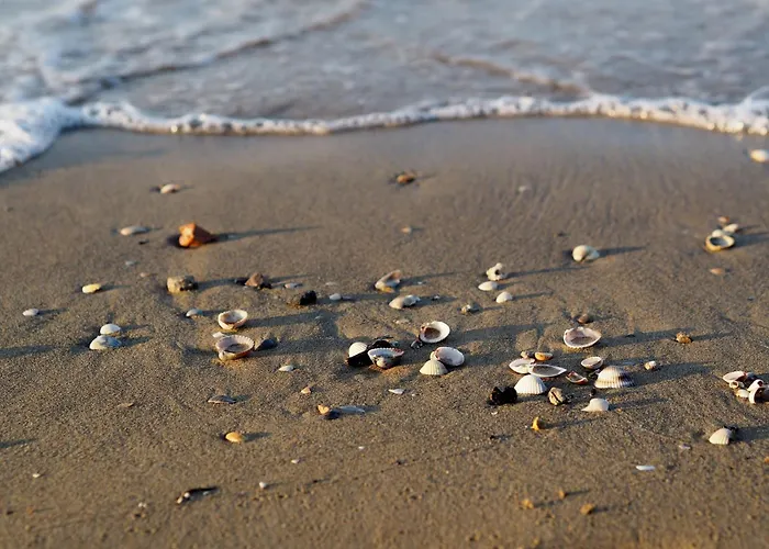 Homely Bright Flat On The Shores Of Lejlighed Bibione